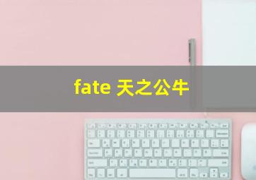 fate 天之公牛